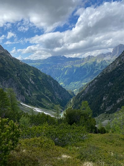 The image presents a wide, deep mountain valley located in Innertkirchen, Switzerland, observed from an elevated perspective. The sky, occupying the upper portion, features a dynamic mix of large, scattered white and grey cumulus clouds, with distinct patches of clear bright blue visible, particularly towards the upper left.

In the midground, multiple layers of mountain ranges extend into the distance, characterized by verdant, forested slopes transitioning to rockier peaks, some retaining visible snow patches. The immediate valley walls are exceptionally steep and heavily wooded, densely covered with coniferous trees in various shades of dark green. On the lower section of the left valley slope, a significant patch of white snow remains, and beside it, a small, distinct rectangular red structure is visible.

A narrow, turquoise-blue river or stream can be seen winding through the deepest part of the valley floor, partially obscured by the dense tree cover. Further into the valley, a faint, linear structure, possibly a cable car line, can be discerned. The foreground consists of a lush, undulating hillside covered in a dense array of low-lying green shrubs, smaller evergreen plants, and patches of light brown grass, sloping gently downwards into the valley. No people, animals, or explicit human activity are visible in the scene.