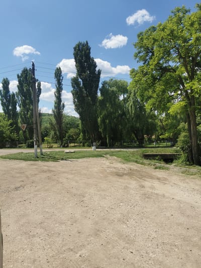 The image depicts a rural scene in the city of Cărpuna, Moldova. In the foreground, a dirt road with tire tracks leads into the frame. To the left, a weathered utility pole stands with electrical wires extending across the image. A triangular road sign is attached to the pole, pointing to the left. Beyond the road, a strip of green grass borders a low concrete barrier. Further back, a line of tall, slender trees stands, interspersed with other lush green foliage. To the right, a larger, leafy green tree dominates the right side of the image. In the background, a gently sloping hill covered in trees rises under a bright blue sky dotted with fluffy white clouds. A small concrete culvert is visible under a patch of grass on the right side of the image, indicating a drainage channel. There are no people visible in the image. The overall impression is a quiet, sunlit day in a rural setting.