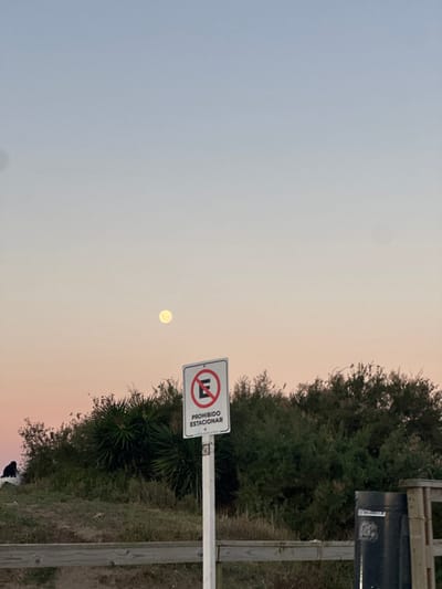 The scene depicts an outdoor twilight or pre-dawn environment in Mar del Tuyú, Argentina. The sky transitions from a light blue at the top to a pale reddish-orange near the horizon. A bright, nearly full moon is prominently visible in the upper-left quadrant of the sky.
In the midground, slightly to the right of the frame's center, a white rectangular sign is mounted on a white post. The sign displays a red circle with a diagonal line over a black capital "E," indicating "No Parking," and the text "PROHIBIDO ESTACIONAR" (Spanish for "NO PARKING") in black capital letters below the symbol.
Behind the sign and extending across the width of the image is a dense line of green coastal shrubbery and bushes. Below this vegetation, grassy, uneven terrain is visible. To the far left, a dark, indistinct human figure is partially visible, appearing to be seated on an elevated grassy area. On the right, a dark cylindrical waste bin is partially visible, situated near a wooden fence or railing structure that spans the bottom of the frame.