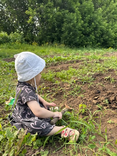 A toddler is kneeling on the ground in a garden. The child is wearing a white sun hat and a dark grey dress with pink heart patterns. They are holding a small garden tool with a wooden handle. The ground is made up of dark soil and patches of green grass and plants. In the background, there are rows of plants and trees, suggesting an outdoor agricultural setting. The image appears to be taken during the daytime, with natural light illuminating the scene. The overall impression is one of a child exploring or helping in a garden. The location context provided is Varzi-Omga, Russia.