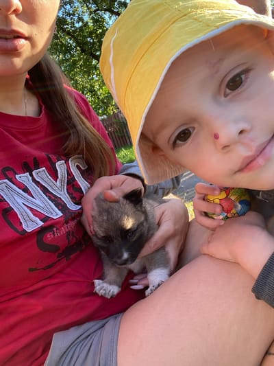 A close-up, selfie-style photograph captures a woman and a young child outdoors on a sunny day. The woman, on the left, is wearing a red t-shirt with white lettering and has her long brown hair pulled back. She is holding a small, light brown and grey puppy. The child, on the right, is wearing a yellow sun hat and is looking directly at the camera, with a small red mark on their nose. The child's hands are visible, one holding a colorful ball. The background shows greenery, suggesting an outdoor, possibly park-like setting, with a hint of a wooden fence. The lighting indicates it is daytime, with sunlight casting shadows. The specific location within Ihnatpil, Ukraine, is not identifiable from the visual cues in the image.