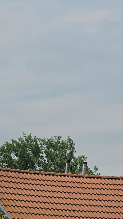 The image captures a rooftop scene in the city of Roßleben, Germany, under a pale, cloudy sky. The foreground is dominated by a terracotta-tiled roof, showing some signs of weathering and moss growth on the individual tiles. Two stainless steel chimney pipes protrude from the roof, their reflective surfaces catching the light. Behind the roof, the dense green foliage of a large tree stretches across the frame. The sky above is mostly clear, with scattered, faint clouds and a few small, dark specks that could be distant birds or insects. The overall impression is one of a residential area on a slightly overcast day.