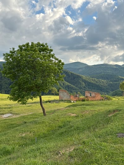 The image depicts a vast, rolling green landscape under a dramatic, cloudy sky. In the foreground, a lone, verdant tree stands to the left, its trunk leaning slightly. To the right, partially obscured by grass, are the brick ruins of a structure, showing crumbling walls and an open doorway. The middle ground features more green, grassy fields, with hints of what appear to be scattered white objects, possibly sheep. In the background, a dense, tree-covered mountain range stretches across the horizon, its peaks softened by the distance. The sky is filled with large, gray, and white clouds, with patches of blue sky peeking through. The overall scene conveys a sense of pastoral solitude and natural beauty, with the ruins adding a touch of historical mystery. The location is identified as the village of Nizhnyaya Mara, Russia.