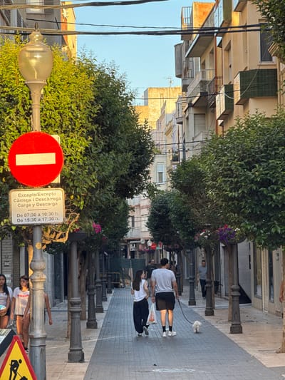 The image depicts a street scene in Vinaròs, Spain, taken from a pedestrian perspective. The view is along a paved street flanked by evenly spaced bollards adorned with trees. Two people are walking a small, white dog on a leash, moving away from the camera. Further down the street, a group of people is visible, appearing to be conversing or waiting. In the foreground, a street sign is attached to a lamppost. The sign includes a red circle with a white horizontal bar, along with a secondary sign indicating loading and unloading times, written in both Catalan and Spanish: "Excepte/Excepto Càrrega i Descàrrega Carga y Descarga De 07:30 a 10:30 h. De 15:30 a 17:30 h." Another sign depicts pedestrians. The buildings lining the street are typical of urban residential architecture, with various balconies, windows, and textures. The lighting suggests it is late afternoon or early evening, casting shadows and creating a warm tone.