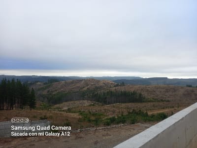 This image depicts a vast, undulating landscape in Santa Juana, Chile, under an overcast sky. In the immediate foreground, on the bottom right, a gray concrete wall or barrier is partially visible. On the bottom left, a section of a concrete block wall is present, overlaid with white text stating "Samsung Quad Camera Sacada con mi Galaxy A12". The majority of the scene comprises rolling hills, exhibiting extensive evidence of deforestation, with large areas of exposed, reddish-brown earth and scattered tree stumps. Interspersed within these deforested zones are areas showing sparse, uniformly spaced green saplings, indicative of reforestation. Clumps of mature evergreen trees, appearing as dark green patches, are visible on the far left and in segments across the distant hilltops. The sky is entirely covered by a continuous layer of clouds, varying from light gray directly overhead to a darker, bluish-gray band at the horizon. No individuals, animals, or active human interactions are present in the frame.