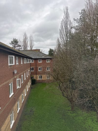 The image captures an outdoor scene in West Lancashire, United Kingdom, under an overcast, light gray sky. Two multi-story brick buildings are visible, separated by a green lawn. The building on the left, closer to the viewer, displays reddish-brown brickwork with a horizontal band of lighter, beige-colored bricks below the window sills on its lower levels. It features numerous rectangular windows with white frames, several of which are open. A small, circular, light-colored satellite dish is affixed to its exterior wall. Its roof, partially visible, consists of dark gray shingles and brown fascia. In the background, another similar brick building, at least three stories tall, features identical window styles and a dark gray shingle roof. A dark green evergreen shrub is situated at the base of this background building. The intervening space consists of a consistently green lawn, showing minor variations in color. To the right, a dense arrangement of deciduous trees, largely bare of foliage with numerous thin branches, occupies the midground and background, interspersed with some taller, slender bare trees and darker evergreen trees further back. No individuals or vehicles are present in the frame.