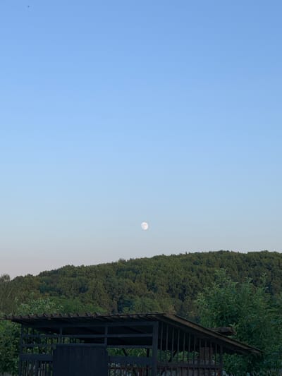 The image depicts an outdoor scene with a clear blue sky. A full moon is visible in the upper middle portion of the sky. Below the sky, a dense, green forest covers a hillside. In the foreground, there is a dark, weathered structure with a corrugated roof, possibly a shed or an animal enclosure, with metal bars visible. The structure is set against a backdrop of trees and foliage. The scene appears to be a rural or suburban landscape, possibly on the outskirts of a city like Zamostia, Ukraine. No people are present in the image.