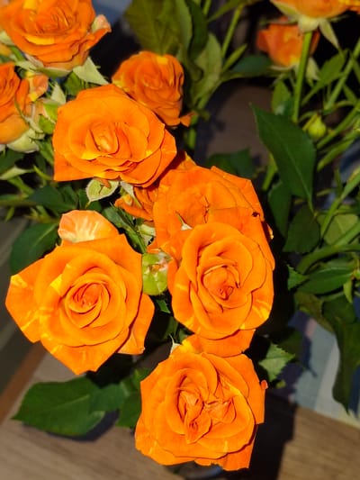 A bouquet of orange roses, some with yellow stripes, is arranged in a vase, casting shadows on a wooden surface. The roses are in various stages of bloom, with some buds and fully opened flowers. Green leaves and stems are interspersed among the flowers. The background is dark, with hints of a striped pattern. The scene appears to be indoors, possibly in a home or studio, and there is no indication of the city of Åsgårdstrand, Norway.