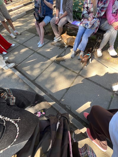 In Sosnoviy Bor, Russia, a group of individuals is gathered on a paved area, possibly a park or public square, with dappled sunlight casting shadows. One person, wearing grey shorts and white socks, stands with legs apart. Beside them, a person in red pants stands with their white-shoed feet visible. To their right, a person in blue shorts and striped shoes sits on a dark-colored bench, holding a patterned backpack. Next to them, another individual in a grey jacket and light brown pants sits with their feet in white sneakers. On the right, a person in a pink hoodie and grey pants sits with their feet in white Crocs.

In front of the bench, a light brown Corgi is visible. Near it, a small brown dog with a blue harness is walking on a leash. On the ground, two black flip-flops with Hello Kitty designs are visible near one of the seated individuals' feet. A person in dark clothing, possibly black jeans with a leopard print pattern, is seated with a silver necklace adorned with a cross and colorful gems. Another individual, wearing brown pants and pink sneakers, is also seated. The ground is composed of square concrete tiles and a dark grey curb. Vegetation is present in the background.