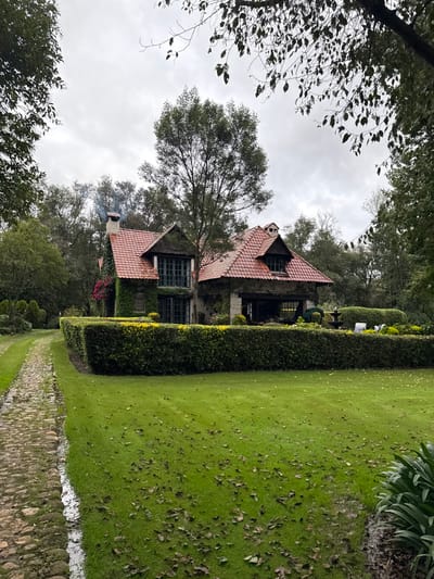 An outdoor, eye-level, slightly elevated photograph captures a rustic, multi-gabled house with a red-tiled roof situated within a lush garden under an overcast sky in Huasca de Ocampo, Mexico. The stone-built structure is largely covered in green ivy, featuring dark-framed windows and an open archway revealing an interior space on the right side. A prominent chimney on the left side emits light gray smoke, indicating an active fire. The foreground displays a well-maintained green lawn scattered with brown fallen leaves. To the left, a cobblestone path runs parallel to a narrow water-filled channel, leading towards the house. A neatly trimmed green hedge, topped with yellow foliage, delineates the garden area directly surrounding the house. Beyond the hedge on the right, white outdoor furniture and a dark garden fountain are visible. Dense green trees encircle the property, forming a wooded background. No individuals are present in the scene.
