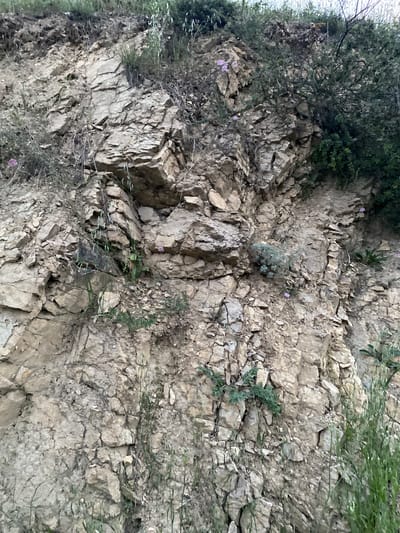 The image displays a close-up view of a rocky, arid hillside with sparse vegetation. The primary subject is the textured surface of the rocks, which are broken into irregular shapes and layered horizontally, suggesting sedimentary rock formations. These rocks are predominantly a light brown and gray color, with some areas showing darker shadows that highlight the depth and unevenness of the terrain.
Scattered across the rocky surface are patches of dry, green vegetation, including small bushes and thin, grassy stalks. A few small, light purple flowers are visible, adding a touch of color to the otherwise muted palette. The vegetation appears to be growing in the crevices and on the ledges of the rocks, indicating adaptation to a dry environment.
The image is oriented vertically, giving the impression of looking up or down a steep incline. The lighting suggests it might be daytime, with natural light illuminating the scene, though the angle of the light is not clearly discernible. The overall setting appears to be a natural, undeveloped landscape, likely a mountainside or a dry ravine.
There is no text visible in the image. The scene evokes a sense of rugged natural beauty and resilience, with life persisting in a challenging environment. The lack of human presence or man-made objects further emphasizes the natural character of the location. The context provided of Murdash, Kyrgyzstan, suggests a mountainous or semi-arid region in Central Asia.