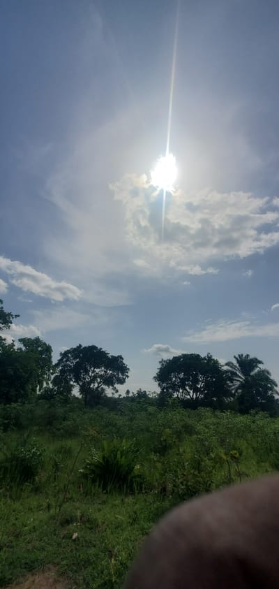 This media file captures a vibrant outdoor landscape under a bright, sunny sky. The image is oriented sideways, with the sky and sun occupying the left portion of the frame, and the ground covered in vegetation filling the right.

The prominent feature is the intensely bright sun, positioned in the mid-left, casting a strong lens flare horizontally across the blue sky. Scattered white cumulus and wispy cirrus clouds are visible around the sun and in other parts of the sky.

The right side of the image is dominated by lush, green vegetation, including tall grasses, shrubs, and several trees with dark foliage, some of which appear to be palm trees, silhouetted against the bright sky. The scene depicts a natural, rural area, consistent with the Bale Agbe, Nigeria location context.

A dark, blurry, out-of-focus object, likely a finger or part of a hand, is visible in the top-right corner, indicating a handheld photograph. The time of day is bright daylight, likely midday or early afternoon, given the sun's intensity. No activity is taking place, and there is no visible text.