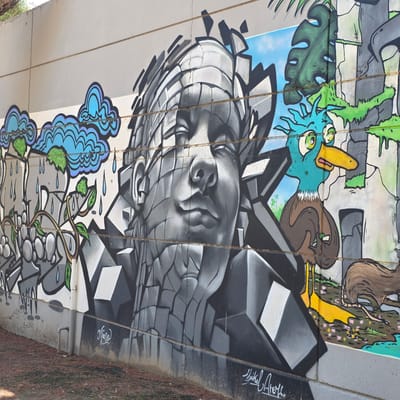The image depicts a colorful mural in Guardamar del Segura, Spain, painted on the underside of a bridge or overpass. The mural includes a large, central portrait of a face rendered in grayscale with a fractured or geometric pattern. Above the face are cartoonish illustrations including a platypus, a squirrel-like creature, and stylized foliage. Below the face, there are designs resembling blue water or clouds and a grey rock formation with vines and green leaves. The artist's signature is visible on the right side of the mural, along with the tag "Navio" on the left side. The edge of the concrete structure and surrounding ground with some vegetation can be seen along the bottom edge of the image.