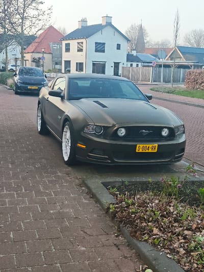 The image depicts a static street scene in Wierden, Netherlands, under overcast lighting conditions. In the foreground, a matte olive green (or dark bronze) 2010-2014 Ford Mustang coupe is parked on a reddish-brown brick pavement, angled slightly towards the right. The vehicle features white multi-spoke wheels, a front grille with a Mustang emblem, and a prominent yellow Dutch license plate displaying "S-004-RR". Its hood has two dark, rectangular vents.
To the immediate right of the Mustang's front bumper, a concrete curb defines the edge of a small planter box containing sparse green vegetation, some small purple flowering plants, and numerous dried brown leaves. The brick pavement extends across the lower left and center of the frame.
Further down the street, behind and to the left of the Mustang, a dark-colored Cupra Born electric vehicle is parked, partially obscured. Its Dutch license plate, "P-823-KK", is visible. The background consists of residential buildings characteristic of Dutch architecture, including prominent white two-story houses with dark roofs. A red-tiled roof is visible behind one house. In the distant background, a distinctive church steeple with a pointed spire is visible above the rooftops. Bare deciduous trees and hedges line the street and properties. No individuals are visible within the frame.