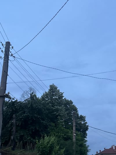 The image captures an outdoor scene with a clear blue sky dominating the upper portion. Several power lines are visible, crisscrossing the sky and connected to a tall, concrete utility pole on the left side of the frame. This pole is adorned with insulators. Further to the right, another utility pole is partially visible, also supporting power lines. Lush green trees form a dense canopy in the mid-ground, with the top of a large tree reaching towards the sky. The lower part of the image shows more greenery, including some smaller plants and a fence-like structure made of thin wooden stakes. In the far right corner, the roof of a building with red tiles is visible, suggesting a residential area. The overall impression is one of a somewhat rural or semi-urban environment, possibly on the outskirts of Slashten, Bulgaria, given the context. There are no people or animals present in the image. The lighting suggests it might be early morning or late afternoon due to the soft light and slightly overcast sky.