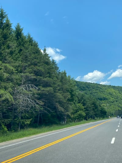 An image depicts a two-lane highway with yellow double solid lines in the center, indicating no passing zones. The highway runs through a forested area with a lush green hillside to the right. Tall evergreen trees line the left side of the road, with some bare, gray trees interspersed within the foliage. The sky is a clear blue with scattered white clouds. The scene appears to be a scenic drive in a rural or mountainous region.