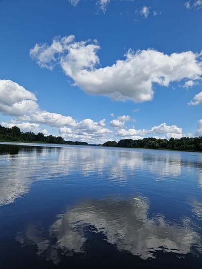 This is a wide-angle, landscape photograph of a calm body of water, likely a lake, under a bright blue sky filled with fluffy white clouds. The water is dark and reflective, mirroring the sky and the tree line that borders the far side of the lake. The tree line consists of dense, dark green foliage. The water's surface has small ripples, creating a textured reflection of the sky and clouds. Two small green lily pads are visible on the water's surface. The photograph appears to have been taken from a low vantage point, possibly from a boat or the shore. The scene suggests a peaceful, natural environment, characteristic of a rural area. The location is Viesīte, Latvia.