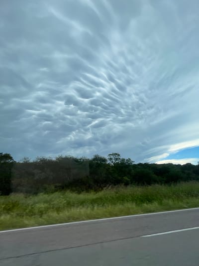 The image showcases a dramatic sky filled with mammatus clouds, creating an undulating, pouch-like appearance. These clouds contrast with a thin strip of green foliage along the horizon, transitioning from trees to grassy vegetation. A section of a gray road is visible on the right side, marked by a white line. The overall scene captures a dynamic interplay between the atmospheric sky and the terrestrial landscape.