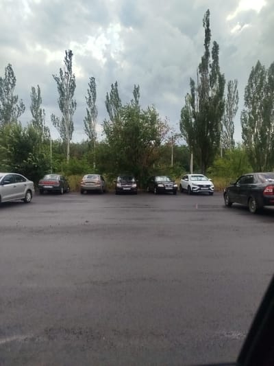 The image depicts a parking lot with several cars parked along a treeline under a cloudy sky. The cars are parked on an asphalt surface. Visible cars include a silver sedan on the far left, a dark sedan with a license plate that appears to read "H069PB 188", a beige sedan with a license plate that appears to read "P688KP 188", a black sedan with a license plate that appears to read "H507EA 188", a black sedan with a license plate that appears to read "B049XY 188", a white SUV with a license plate that appears to read "T997KU 188", and a dark sedan on the far right with its rear facing the viewer. Behind the cars, a dense line of trees and tall, thin trees are visible against the sky. The overall scene suggests a typical urban or suburban environment.