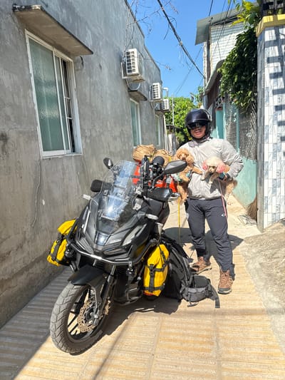 A person wearing a black helmet, grey jacket, and dark pants stands in a narrow alleyway in Binh Thuan Ward, Vietnam, holding two small dogs. The person is positioned to the right of a black motorcycle equipped with yellow saddlebags and a large backpack. The motorcycle is parked on a textured pathway. The surrounding environment consists of buildings with grey and patterned tiled facades, a blue sky, and overhead electrical wires. The buildings appear to be residential with visible windows and air conditioning units. The lighting suggests it is a sunny day.
