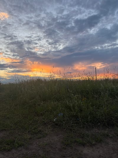 A low-angle, full-shot photograph captures a sunset over a field of tall grass and dirt in Khlopovo, Russia. The sky is filled with a mix of gray and orange clouds, with the sun partially visible behind them. Several thin power lines are strung across the sky, supported by a utility pole on the right side of the frame. The foreground is dominated by the tall, green grass, with patches of dirt visible at the bottom. There are no people or animals in the frame. The overall mood is one of natural beauty and tranquility, with a hint of industrial presence from the power lines.