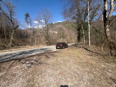 This image presents an outdoor scene in Pastra, Bulgaria, under a clear blue sky with minimal cloud cover. A two-lane asphalt road curves through the mid-ground, bordered by a low stone retaining wall on its far side. A dark-colored hatchback, consistent with a Volkswagen Golf, is parked on a dirt and leaf-strewn shoulder on the right side of the road, oriented with its rear facing the camera's left. The surrounding landscape consists of predominantly bare deciduous trees covering the hillsides adjacent to the road and in the background, suggesting late winter or early spring. A tall conifer stands on the left hillside, with overhead power lines visible against the sky. The foreground ground cover is dry, comprising dirt, sparse dry vegetation, and a dense layer of fallen leaves. Distinct, elongated tree shadows are cast across the road and the foreground. No individuals are present. A small white object and a blue object, consistent with litter, are visible on the ground in the lower right and near the parked vehicle respectively. No active movements or interactions are discernible.