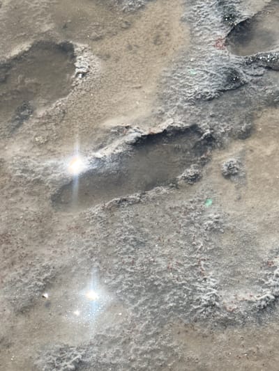 The image depicts a close-up view of shallow puddles and textured ground, likely mud or sand with mineral deposits. The environment is a terrestrial landscape with a mix of wet and dry patches. There are no people or animals visible. The scene appears to be outdoors, possibly in a natural or industrial setting. The lighting suggests it is daytime, with bright reflections visible on the water surfaces, indicating sunlight. The colors are muted, dominated by shades of brown, gray, and white, with some reddish-brown specks scattered across the ground. The texture of the ground is uneven, with raised areas and depressions that form the puddles. There is no identifiable location in the city of Bursol', Russia, nor any specific objects or activities that would suggest such a location.