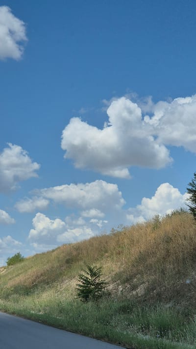 The image depicts a roadside scene in Malenovo, Bulgaria, under a bright blue sky dotted with fluffy white cumulus clouds. A paved road runs along the bottom left of the frame, partially visible. To the right of the road, a grassy slope rises upwards, covered in a mix of green grass and dry, golden vegetation, indicating a transition between seasons or a naturally arid area. A small, dark green tree with a distinctive bushy foliage stands in the middle of the slope. Further up the hill, the vegetation becomes sparser and drier. The overall impression is one of a rural or semi-rural landscape during daylight hours. There are no people or animals visible in the image.