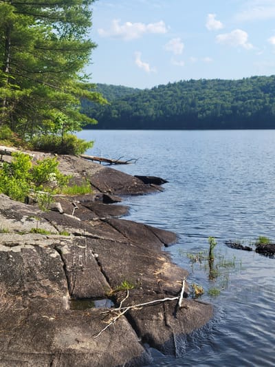 The image shows a rocky shoreline of a lake, with a dense forest on the far side. The foreground is dominated by dark, wet rocks with visible cracks and patches of green vegetation. A few scattered pine needles lie on the rocks. The lake water is calm and reflects the blue sky, which has a few scattered white clouds. On the left side of the image, a cluster of vibrant green trees and bushes grows along the edge of the rocky shore. In the distance, rolling hills covered in dark green forest rise from the far bank of the lake. The scene appears to be a natural landscape in a relatively undeveloped area. The image does not contain any people or man-made structures, and there are no discernible actions or interactions occurring. The location is described as Saint-Alban, Canada.