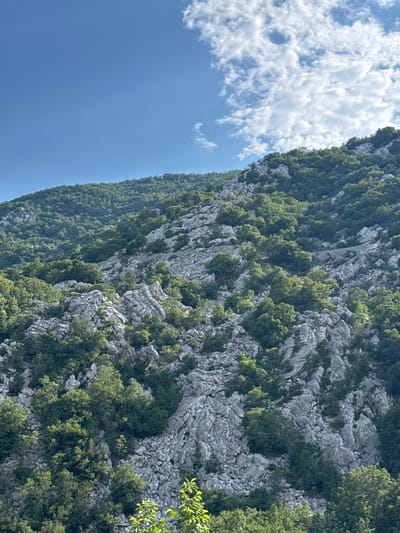 This image captures a rugged, mountainous terrain on a clear day. The foreground is dominated by a steep slope covered in a dense array of grey rocks interspersed with lush green foliage. The rocks appear weathered and uneven, forming a chaotic, natural landscape. Patches of trees and smaller shrubs sprout from the crevices and ledges of the rocks, adding a vibrant contrast to the stony surfaces.
As the slope ascends, the vegetation becomes more uniform, forming a thick green carpet that covers the higher parts of the mountain. The sky above is a brilliant, cloudless blue, with a few scattered white cumulus clouds drifting lazily in the upper right portion of the frame. The overall impression is one of natural beauty and untamed wilderness. The scene is likely located in the mountainous region surrounding Dragalj, Montenegro, known for its dramatic topography and verdant landscapes. There are no people or man-made structures visible in the image.