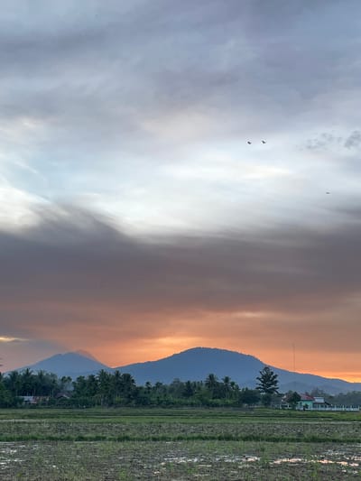 The image depicts a serene sunset over a rural landscape in Khang Tanjong, Indonesia. In the foreground, a newly planted rice paddy is visible, with rows of young rice shoots emerging from the wet earth. Beyond the paddy, a dense line of palm trees and other lush green vegetation forms a natural barrier. In the middle ground, several houses with red and blue roofs are nestled amongst the trees, suggesting a small village. A tall, slender antenna stands near one of the houses.

Dominating the background are two majestic mountains, silhouetted against a dramatic sky. The sky transitions from a soft, pale blue at the top, through a spectrum of grays and purples, to a vibrant orange and pink glow near the horizon, indicative of the setting sun. Several small birds are scattered across the sky, adding a sense of depth and life to the scene. The overall atmosphere is one of tranquility and natural beauty.