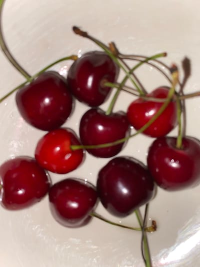 A close-up, high-angle shot shows a pile of dark red cherries with green stems arranged in a white bowl. The cherries are mostly round with a glossy sheen and varying shades of red. Some stems are attached, while others appear broken. The bowl has a textured surface. There are no people or any other objects visible in the frame. The image does not provide any information about its location in Kocasinan, Turkey.