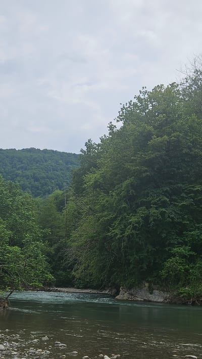 The image depicts a wide, tranquil river flowing through a lush, green valley. The riverbanks are lined with dense foliage, with trees dominating the scene. In the background, rolling hills covered in forests create a sense of depth and scale. The sky is overcast, with soft clouds obscuring the sun. The water in the foreground appears shallow and clear, revealing a bed of pebbles. The river then widens and becomes deeper as it flows towards the background, with the current creating subtle ripples on its surface. The overall impression is one of a serene and natural landscape. This scene is consistent with the natural beauty of the Bolshoy Kichmai region in Russia, known for its forests and rivers.