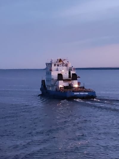 The image shows a blue and white tugboat moving through the water. The tugboat has multiple levels and lights visible. The environment consists of water and a distant shoreline under a cloudy sky. The image does not explicitly provide information about the city of Vichelovo, Russia. There is no information about people visible in the image.