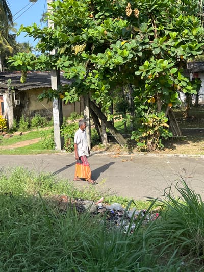 In Moratuwa, Sri Lanka, an elderly man with gray hair walks along a paved road. He is wearing a white short-sleeved shirt and a sarong with red, orange, and yellow stripes. The man is walking from left to right across the frame. He casts a long shadow on the road. In the foreground, tall green grass and weeds grow along the side of the road, with some scattered litter visible among the vegetation. Behind the man, a large tree with lush green leaves dominates the mid-ground. Beyond the tree, there are buildings with tiled roofs, and palm trees are visible in the distance against a clear blue sky. A concrete utility pole stands near the man.