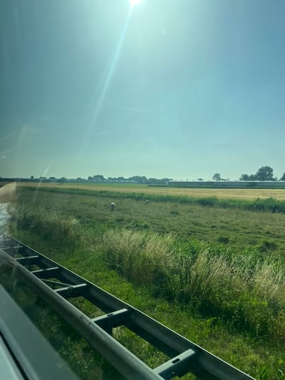 The image captures a roadside scene, likely from a vehicle's perspective, looking out over a grassy field. The sun is bright and low in the sky, casting a strong glare on the left side of the image and suggesting it is either early morning or late afternoon. The sky is a clear, pale blue.

In the distance, a line of trees marks the horizon, behind which appear to be some buildings. The field is a mix of green grass and drier, straw-colored vegetation, with patches of taller grass. Two rounded, white objects are visible in the field, which could be hay bales or perhaps large stones. A metal guardrail runs along the right edge of the frame, indicating the image was taken from a road. The guardrail is dark gray and shows signs of wear.

The overall impression is one of a rural landscape bathed in the warm light of the sun. The scene is tranquil and uneventful, with no people or animals actively engaged in activity, apart from the implied movement of the vehicle from which the photo is taken. The weather appears to be fair and sunny. There is no visible text in the image.