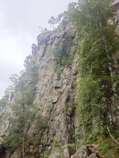 The image depicts a steep, rugged rock face in Aigir, Russia, likely a part of the Ural Mountains. The rock is a mix of grey and brown hues, with visible cracks and ledges. Sparse vegetation, including trees and moss, clings to the rock face and grows at its base. The trees are primarily deciduous, with lush green foliage, and some coniferous trees are also present, their needles appearing darker. The sky above is overcast and grey, suggesting a cloudy day. The lighting is diffused, casting soft shadows. The perspective is from below, looking up at the imposing cliff. There are no people or animals visible in the image. The environment appears wild and natural, with no signs of human intervention or construction. The overall impression is one of natural grandeur and rugged beauty.