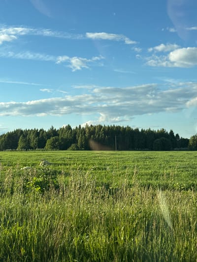 The image depicts a rural landscape in Yakshino, Russia, likely during the daytime. The scene is divided into two distinct halves by a line of dense, dark green trees running horizontally across the middle.

To the left of the tree line, a bright blue sky dominates, streaked with wispy white clouds. These clouds appear thin and elongated, suggesting fair weather and possibly a light breeze. A subtle lens flare is visible in the upper left corner, indicating the photo was taken from inside a vehicle or through a window.

To the right of the trees, a vast expanse of vibrant green grass stretches out, appearing tall and somewhat unkempt. The grass seems to be a field or meadow, with individual blades clearly distinguishable. There are no people or animals visible in the frame. A thin, vertical pole is present in the middle ground, just behind the treeline, but its purpose is unclear.

The overall impression is one of natural beauty and tranquility. The bright sunlight suggests it could be late morning or afternoon. The image captures a serene moment in a rural setting, emphasizing the contrast between the open sky and the dense treeline, with the expansive field as a foreground element. No text is visible in the image.