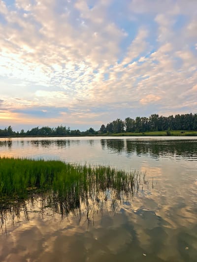 A serene landscape photo taken in Sinkovo, Russia, captures the tranquil beauty of a lake at dusk. The sky is a canvas of soft blues and whites, adorned with scattered, wispy clouds tinged with the warm hues of the setting sun. These colors are beautifully reflected in the calm water, creating a mirror image of the sky and the distant treeline.
The foreground is dominated by lush, green reeds growing along the edge of the lake, their stalks casting delicate reflections on the water's surface. Beyond the reeds, the lake stretches out, its surface smooth and gently rippled. Across the water, a dense line of trees forms a dark silhouette against the lighter sky, providing a sense of depth and natural boundary to the scene.
The overall atmosphere is one of peacefulness and calm. The soft lighting and the gentle reflections evoke a sense of quietude, suggesting a moment of stillness at the end of the day. There are no people or objects explicitly visible that would indicate specific activity, reinforcing the natural and undisturbed quality of the landscape. The time of day is clearly evening, as indicated by the sunset colors in the sky and their reflections. The location cues, while not explicitly visible in the image, are provided as Sinkovo, Russia.