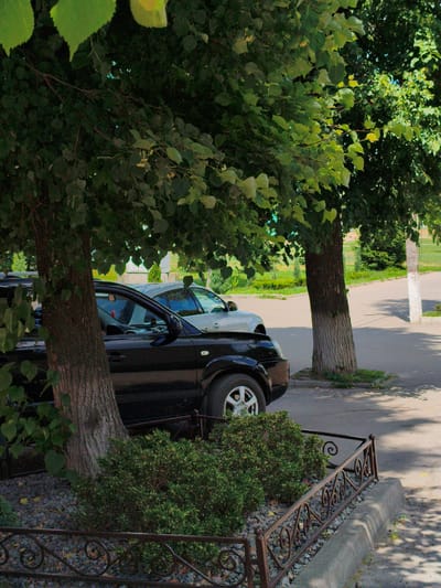 In Velyka Bahachka, Ukraine, a black SUV is parked next to a light-colored sedan under the dappled shade of a leafy tree on a sunny day. The vehicles are positioned on a paved surface, possibly a street or parking area, with a concrete curb and a decorative metal fence bordering a gravelly area with a small bush. The tree, with its rough bark, stands prominently in the foreground, its branches and green leaves creating a natural canopy over the parked cars. In the background, a sidewalk or pathway is visible, along with more greenery and structures, suggesting a residential or public space within the town.