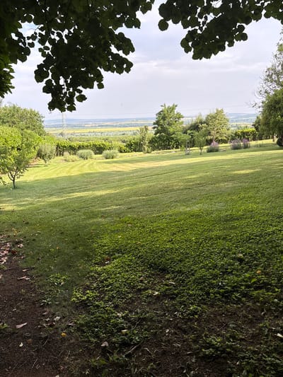 The image depicts a lush, green landscape under a partly cloudy sky. In the foreground, a patch of dense, low-lying green foliage covers the ground, bordering a dirt path with scattered fallen leaves. Beyond this, a manicured lawn stretches towards a line of trees and shrubs. Further in the distance, a vast expanse of farmland, appearing as yellow and green fields, is visible, bordered by a line of trees and vineyards. A power line tower stands prominently in the mid-ground. The scene is serene and rural, suggesting a peaceful countryside setting. This location is identified as being in Malko Chochoveni, Bulgaria. There are no people or animals visible in the image.