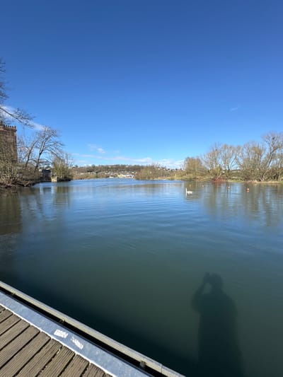 The image depicts a wide-angle outdoor scene on a clear, sunny day in Hattingen, Germany, specifically along a body of water.

In the foreground, a wooden dock or pier extends from the lower left corner towards the right, featuring parallel planks and a bright metal edge. The shadow of a person, identifiable as the photographer holding a device (likely a camera or phone), is cast prominently onto the dark blue-green water in the lower right quadrant.

The midground is dominated by a calm expanse of water, likely a river or lake, reflecting the bright blue sky. Ripples are visible across its surface. A single white swan is swimming towards the right, approximately halfway across the water. Several smaller dark waterfowl (ducks or similar birds) are scattered across the water's surface, particularly towards the distant shore. Multiple orange buoys are floating on the water, primarily on the right side.

The left distant shore features an ancient-looking, reddish-brown stone or brick structure, possibly a ruin or a historic building, partially obscured by bare deciduous trees and brush. Further into the background, a residential area with light-colored buildings and roofs is visible on a gently rising hill.

The right distant shore is lined with numerous bare deciduous trees, some of which exhibit large, dark nests in their upper branches. The entire scene is bathed under a vast, clear blue sky, with only a few faint white cirrus clouds visible towards the left horizon. The lack of foliage on trees suggests late autumn, winter, or early spring.