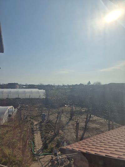 The image depicts an elevated view of a rural or semi-rural landscape in Mechkarevo, Bulgaria, under a clear, bright sky. The sun, located in the upper right, casts intense light and lens flare across the scene.
In the foreground, a section of a reddish-brown tiled roof is visible in the lower right quadrant. To the left of the roof, a green garden hose is coiled on the ground, leading to a watering device actively emitting a stream of water. The ground in the immediate foreground shows sparse brown vegetation and bare earth, with a winding, paved pathway visible.
The midground features a dormant vineyard or orchard, characterized by numerous bare, trellised vines or small trees supported by wooden posts. A blue barrel is situated within this cultivated area. To the left, several large, arched, translucent white greenhouses (polytunnels) are prominent, indicating agricultural cultivation.
The background consists of a distant cluster of low-rise buildings and houses with dark roofs, interspersed with bare trees, suggesting the outskirts of a settlement. No individuals or specific actions are discernible, aside from the active watering system.