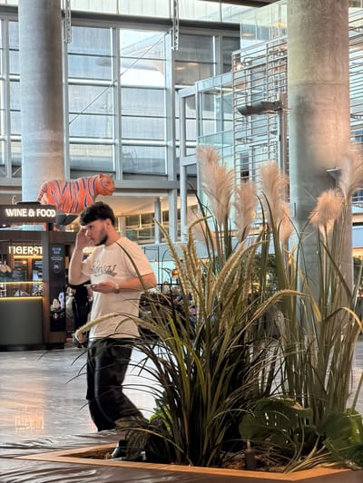 In Gardermoen, Norway, a young man with dark, curly hair and a beard stands in the foreground, facing right and looking down at his phone. He is wearing a white t-shirt with lettering on it and dark pants. He has a watch on his left wrist. To his left, a sign with blue and orange stripes displays "WINE & FOOD" and "TIGERST" in white lettering. Behind him, a large, stylized tiger decoration is visible against a backdrop of a modern building with glass windows and metal structures. In the right foreground, tall, feathery grass plants obscure part of the scene. The floor appears to be a light-colored, polished surface.