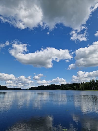 The image shows a wide, calm body of water, likely a lake, reflecting a bright blue sky filled with fluffy white and gray clouds. A dense, dark green treeline borders the far side of the water. The water's surface is smooth, with subtle ripples, and it mirrors the sky and the trees. A few lily pads are visible on the water's surface. The scene appears to be a natural landscape, possibly a park or a rural area. Based on its features, this scene is characteristic of Lake Viesīte in Viesīte, Latvia. There are no people or objects of human manufacture visible in the immediate foreground or on the water.