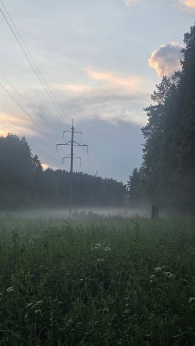 The image depicts a rural landscape, possibly in the vicinity of Rassudovo, Russia, characterized by a dense forest bordering a field filled with tall grass and wildflowers. A power line pylon stands prominently in the middle ground, with high-voltage wires stretching across the frame. A thick layer of fog hovers low over the field, obscuring the base of the trees and creating an ethereal atmosphere. The sky above is a mix of pale blue and diffused light, with scattered clouds, one of which is catching the light of the setting or rising sun, giving it a warm glow. The overall impression is one of a tranquil, misty morning or evening in a natural setting with human infrastructure. There are no people or animals visible in the scene.