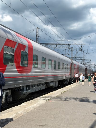 A long, silver train with red markings is stopped at a train station platform. The train cars have numerous windows. Several people are standing on the platform near the train, some appear to be boarding or disembarking. The platform is paved with concrete and asphalt. Overhead, a complex network of electrical wires and poles for the train's power system is visible against a cloudy sky. The location is the train station in Kamensk-Shakhtinsky, Russia.