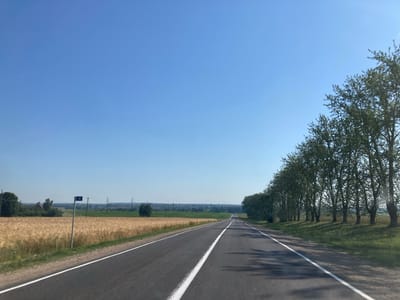 A straight, asphalt road with white dividing lines extends into the distance under a clear blue sky. On the left side of the road, a field of golden wheat is visible, bordered by a line of trees and a street sign displaying the number "4". On the right side of the road, a row of tall, mature trees with green foliage casts shadows onto the pavement. In the background, a distant landscape features rolling hills, fields, and utility poles. The scene appears to be a rural area, possibly in or around the village of Kuchytsk, within the Kuchytsk rural council in Belarus. There are no people or animals visible in the image. The weather is sunny and clear.