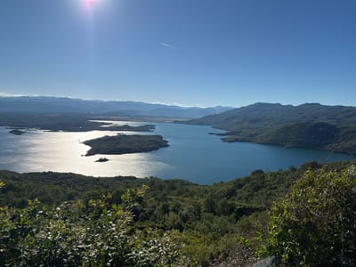 This is a high-angle, wide-angle, exterior, daytime shot overlooking a large, bright blue lake surrounded by lush green, tree-covered mountains. The sun is high in the sky on the left side of the frame, creating a strong glare on the water and casting shadows. There is a contrail from an airplane visible in the clear blue sky. The foreground is filled with dense green foliage and branches. The background consists of a mountain range receding into the distance, with a hazy, lighter blue tint. This scene is characteristic of the natural beauty found around Ponikvica, Montenegro.