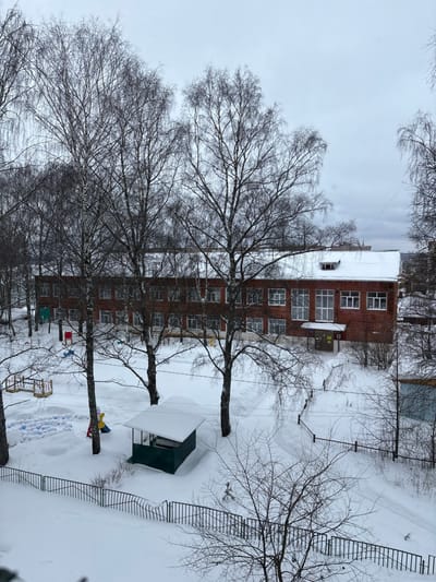 The image displays a snow-covered outdoor environment in Furmanov, Russia, under an overcast sky. The scene is dominated by a two-story red brick building situated in the midground, featuring multiple rows of rectangular windows with white frames. Its roof is entirely covered by a thick layer of snow, and a small dormer window is visible near the roofline on the right side. An entrance, accessible via a short flight of snow-covered stairs, is located on the right side of the building, adorned with various informational posters.
In the foreground and midground, numerous tall, bare deciduous trees with dark trunks and intricate branch patterns, characteristic of winter, stand amidst the snow. The ground is uniformly blanketed in deep white snow. A dark metal fence extends across the lower portion of the image, segmenting the immediate foreground.
To the left of the building, a snow-covered playground area is visible, containing a wooden structure, partially submerged colorful playground equipment (including red and yellow elements), and an arrangement of blue and white circular objects placed on the snow. A small, dark green wooden gazebo or shelter with a snow-laden white roof is centrally positioned in the midground. Faint footpaths are discernible in the snow, indicating pedestrian routes. No individuals, actions, or interactions are observed within the frame.
